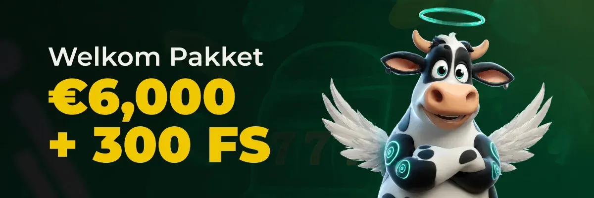 Holyluck banner